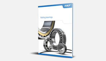 CATALOGO SKF